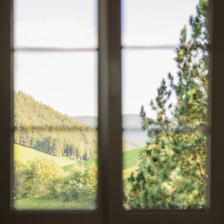 Vista Todtnauberg 2 شقة *