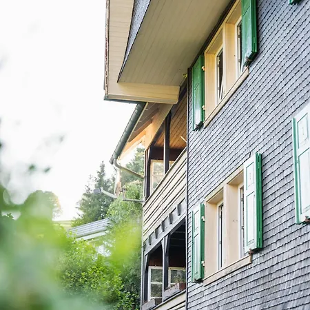 شقة Vista Todtnauberg 2 *